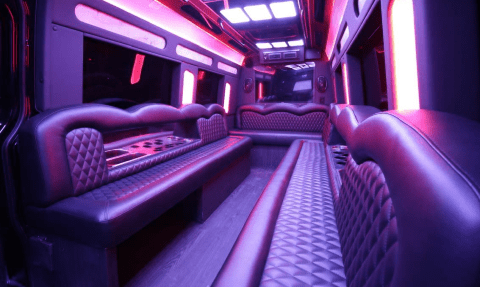South Jordan 14 Passenger Sprinter Bus Interior