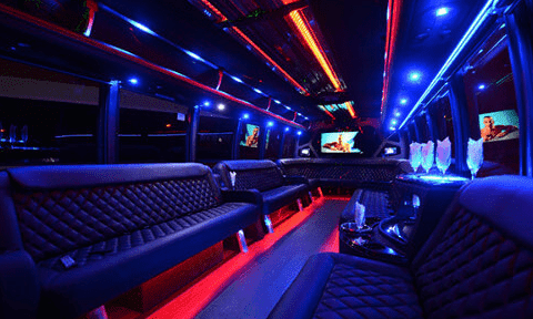 Lehi 30 Passenger Party Bus Black Interior